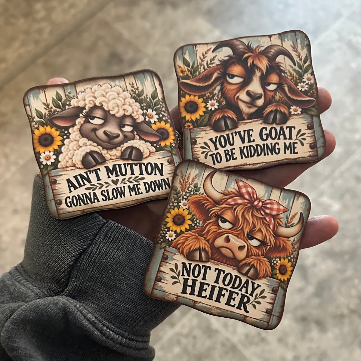 Sassy Farm Animal Magnets - Set of a 6 Finished Decor