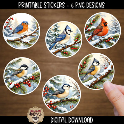 Winter Bird Ornament Bundle | Laser Cut SVG File + Printable PNG Files with Bonus Sticker File
